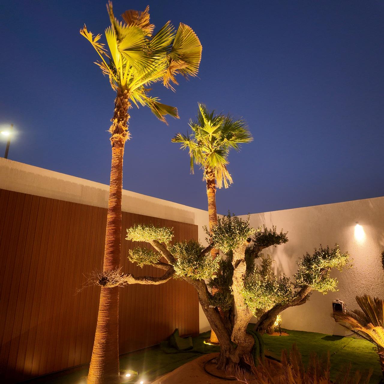 Landscape Lighting Design 4